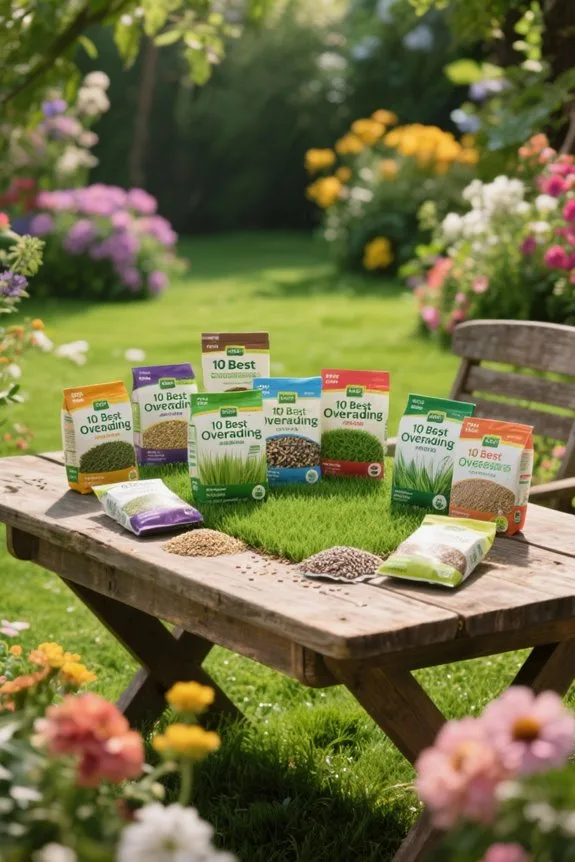 top grass seeds 2025